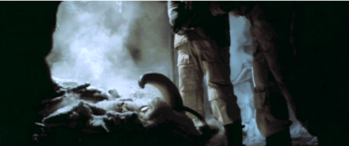 tumblr_p10wt0W6tU1wzvt9qo8_500.gif