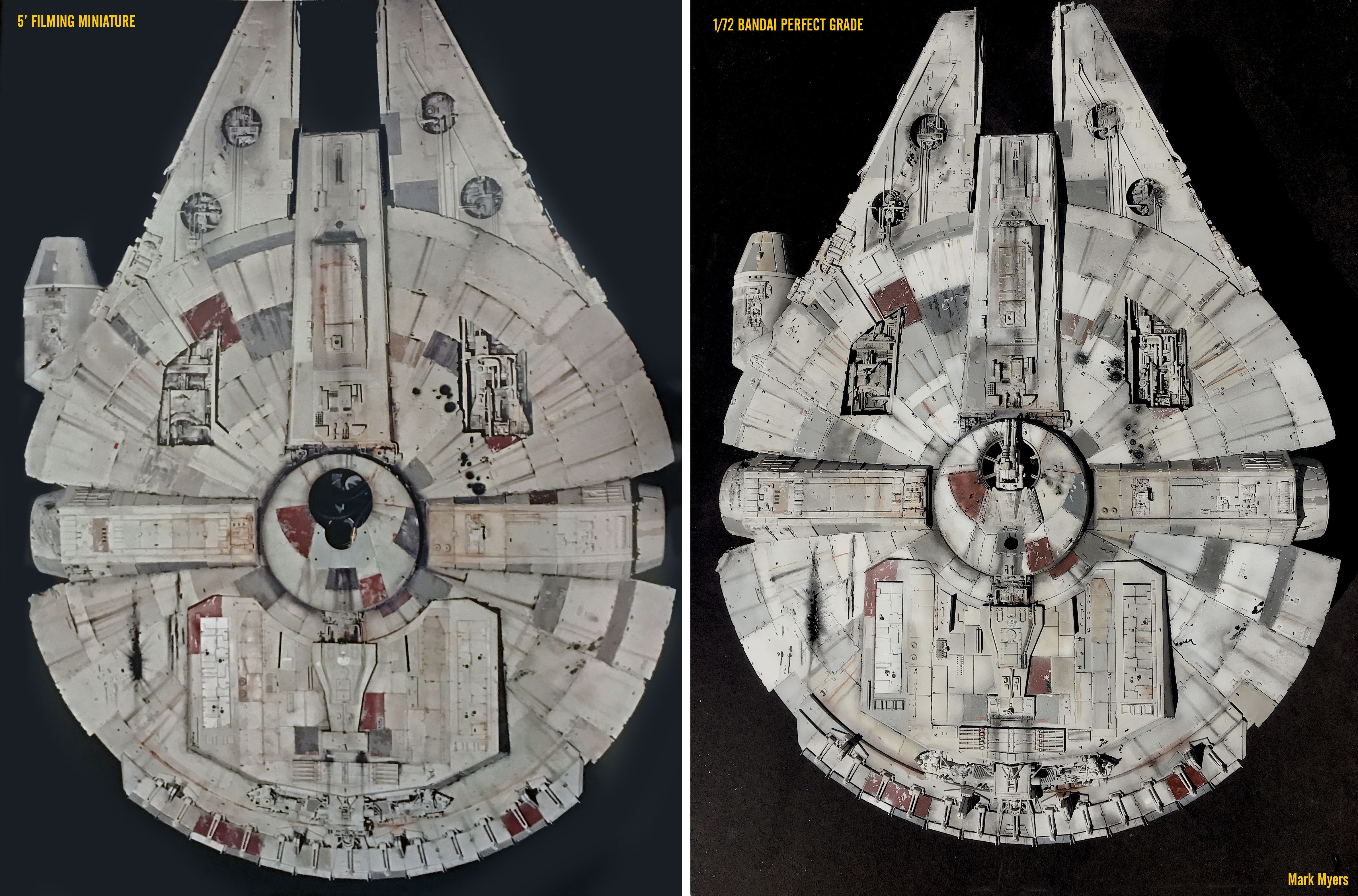 Underside WITH REAL FALCON .jpg