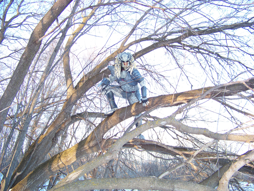 upatree.jpg