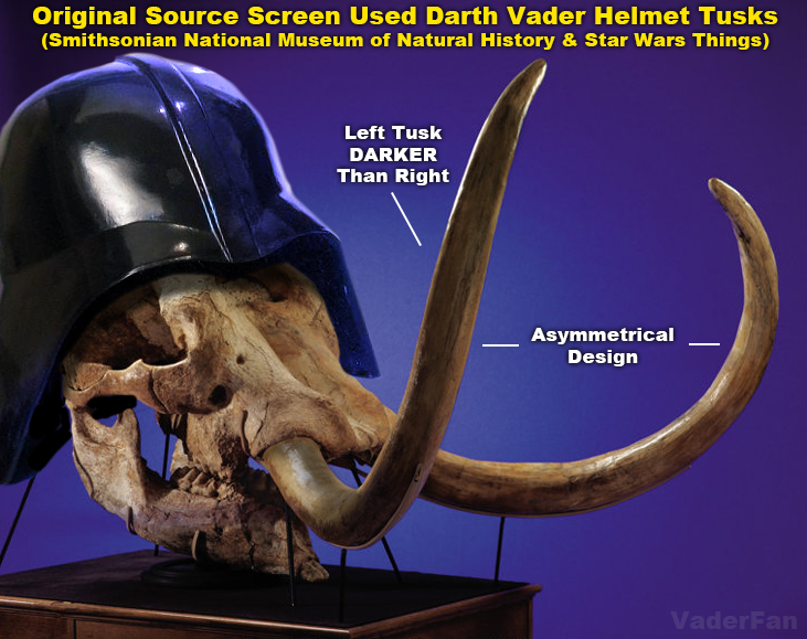 vader-tusks.png