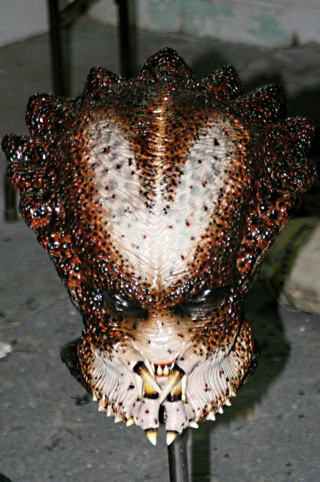 Valerio Head 150a - Copy.jpg