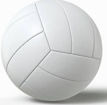 Volley ball white.jpg