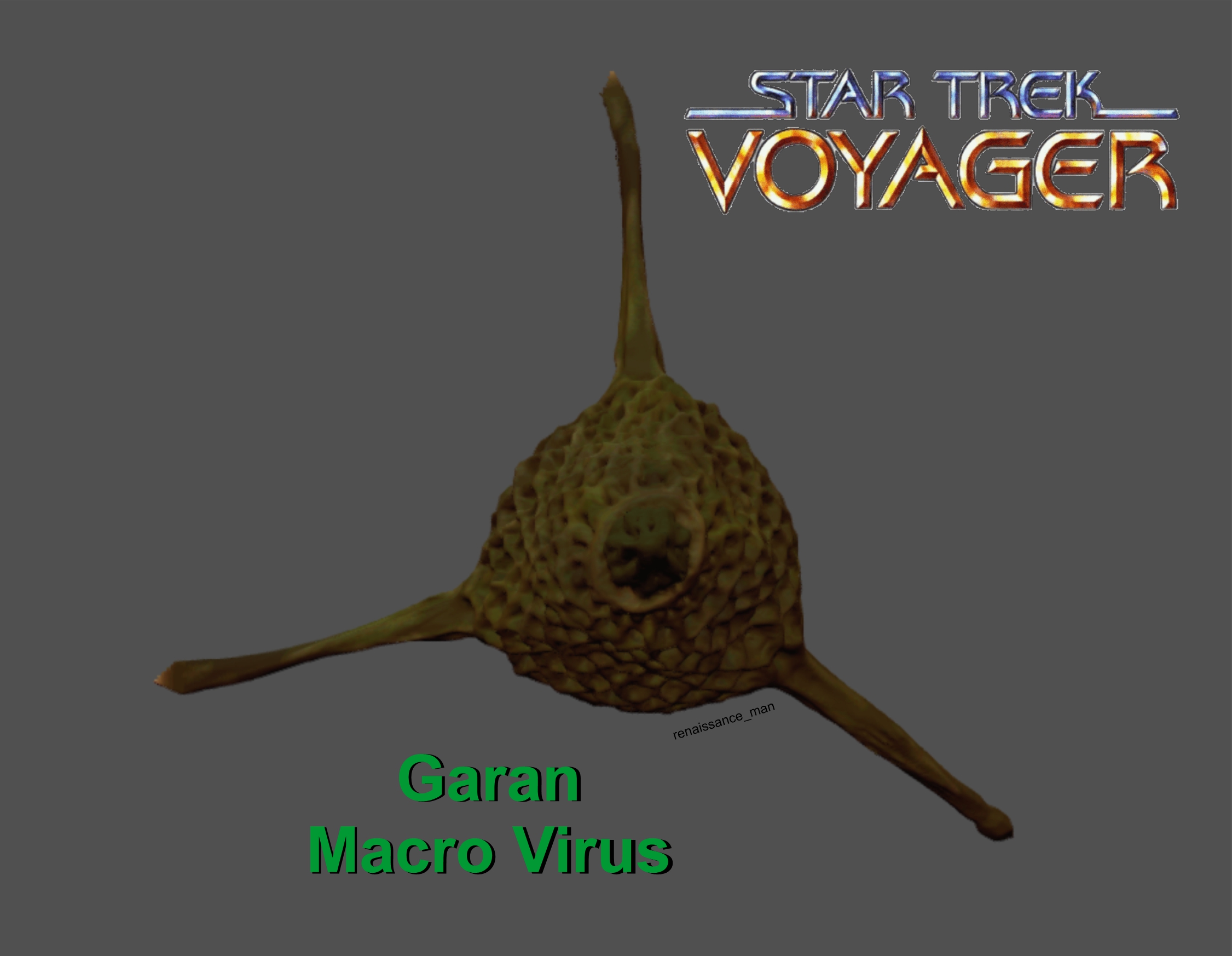 Voyager Macro Virus Painted Render 3.jpg