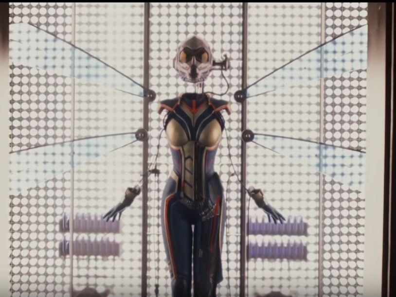 wasp costume.JPG