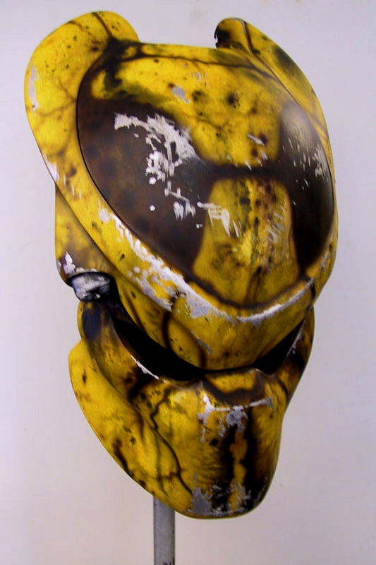 wasp_bio_04.jpg