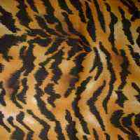webready%20tiger%20skin%20cotton%20comp.jpg