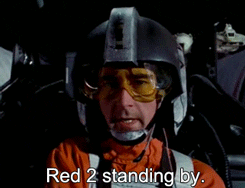 wedgestandingby.gif