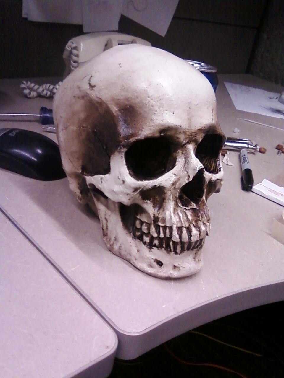 white_skull_prop.jpeg