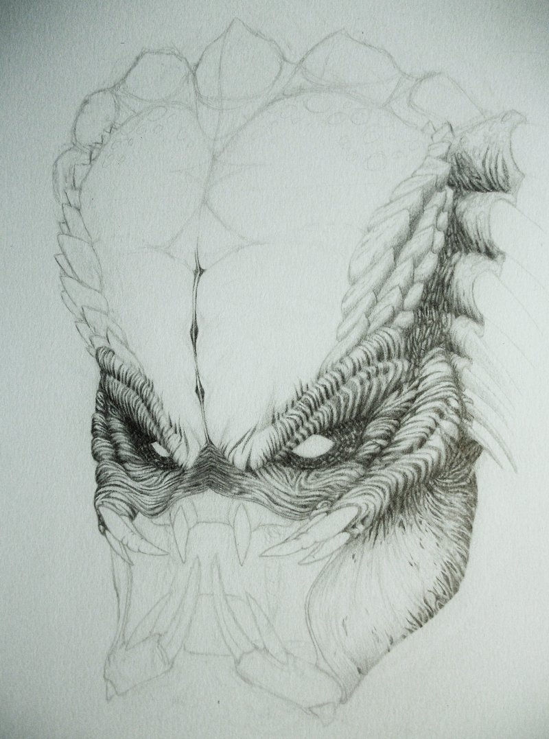wip_pred___male_or_female_2_by_coollekotten-d30xlvm.jpg