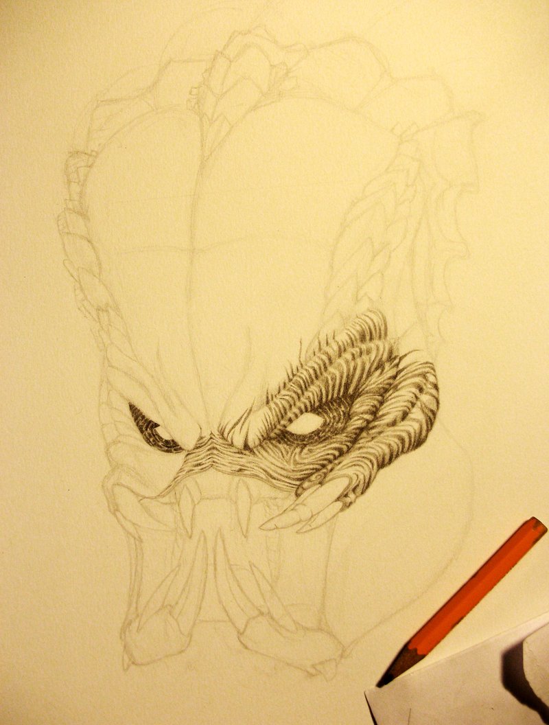 wip_pred___male_or_female__by_coollekotten-d30sr97.jpg