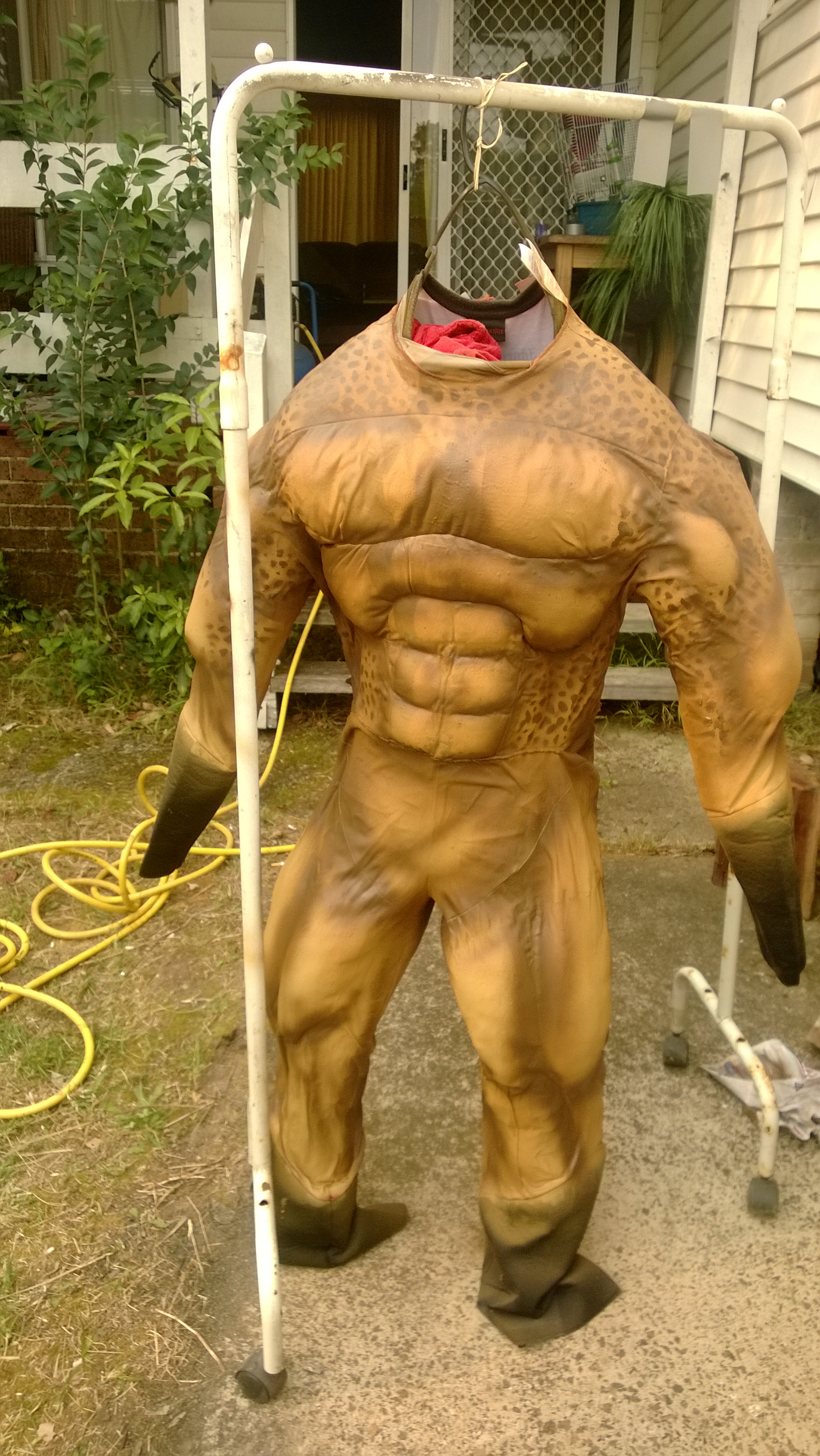 WP_20131027_006.jpg
