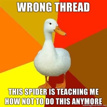 Wrong-thread-This-spider-is-teaching-me-how-not-to-do-this-anymore.jpg