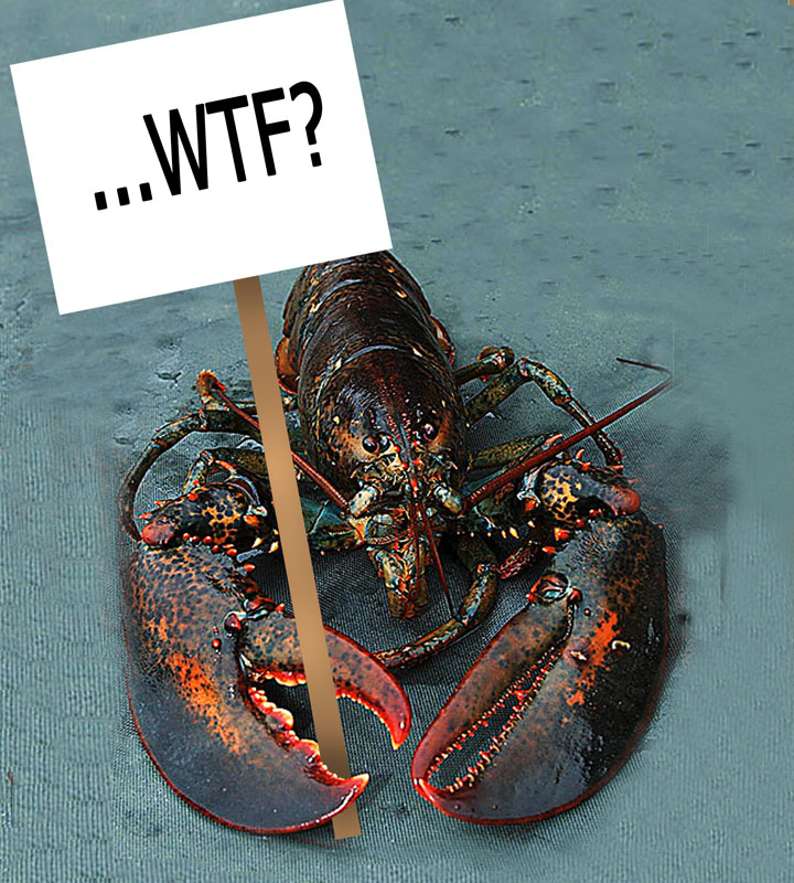 wtflobster.jpg