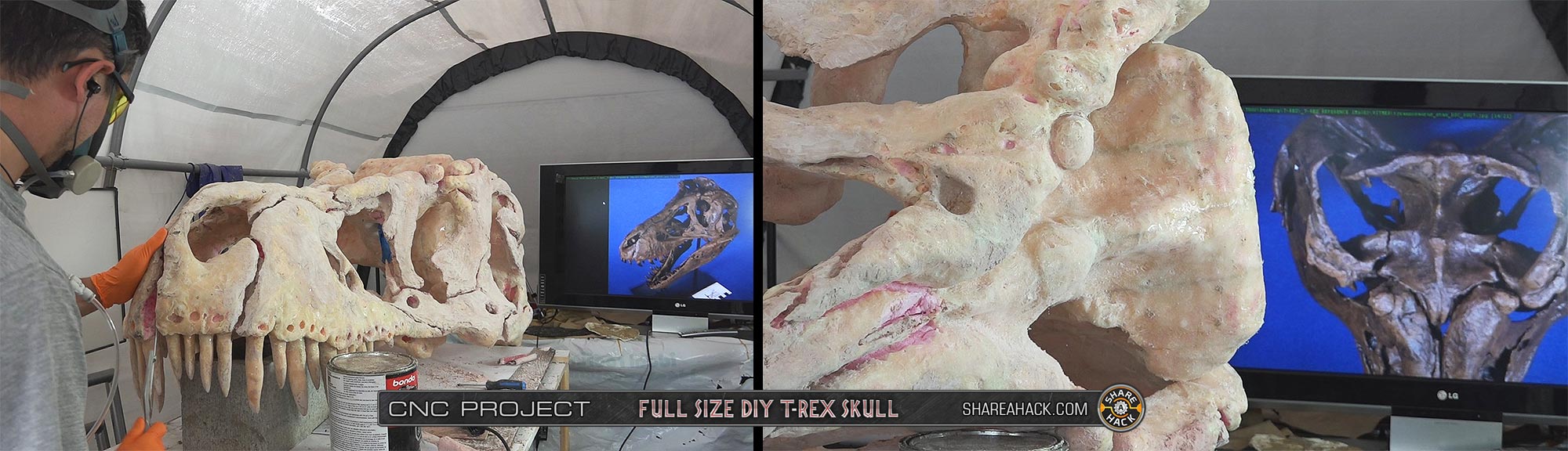 x-skull-cnc-foam_3dmodel_42-real-trex-fossil-skull.jpg