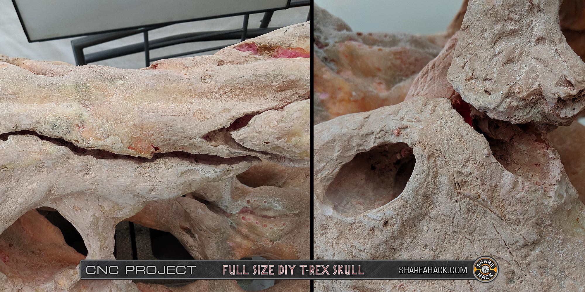 x-skull-cnc-foam_3dmodel_43-real-trex-fossil-skull.jpg