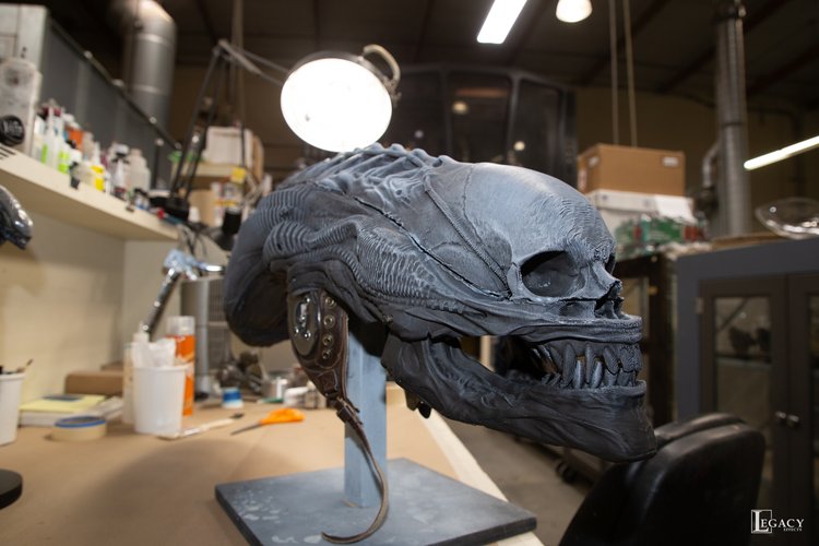 Xeno-SELECTS-22.jpg