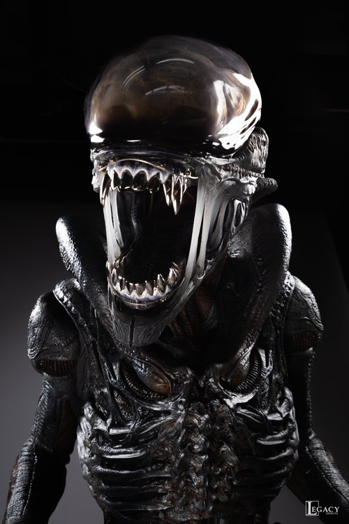 Xeno-SELECTS-46.jpg