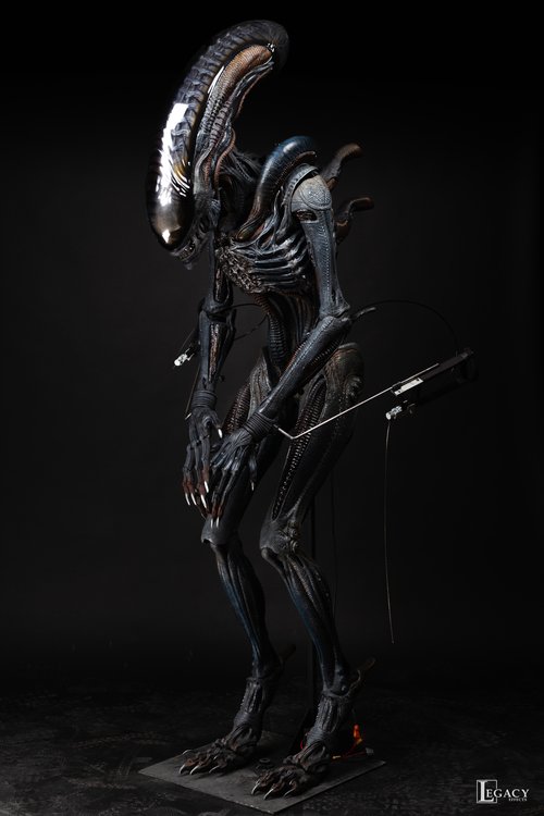 Xeno-SELECTS-71.jpg