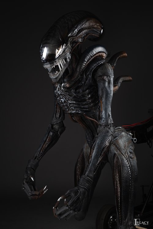 Xeno-SELECTS-72.jpg