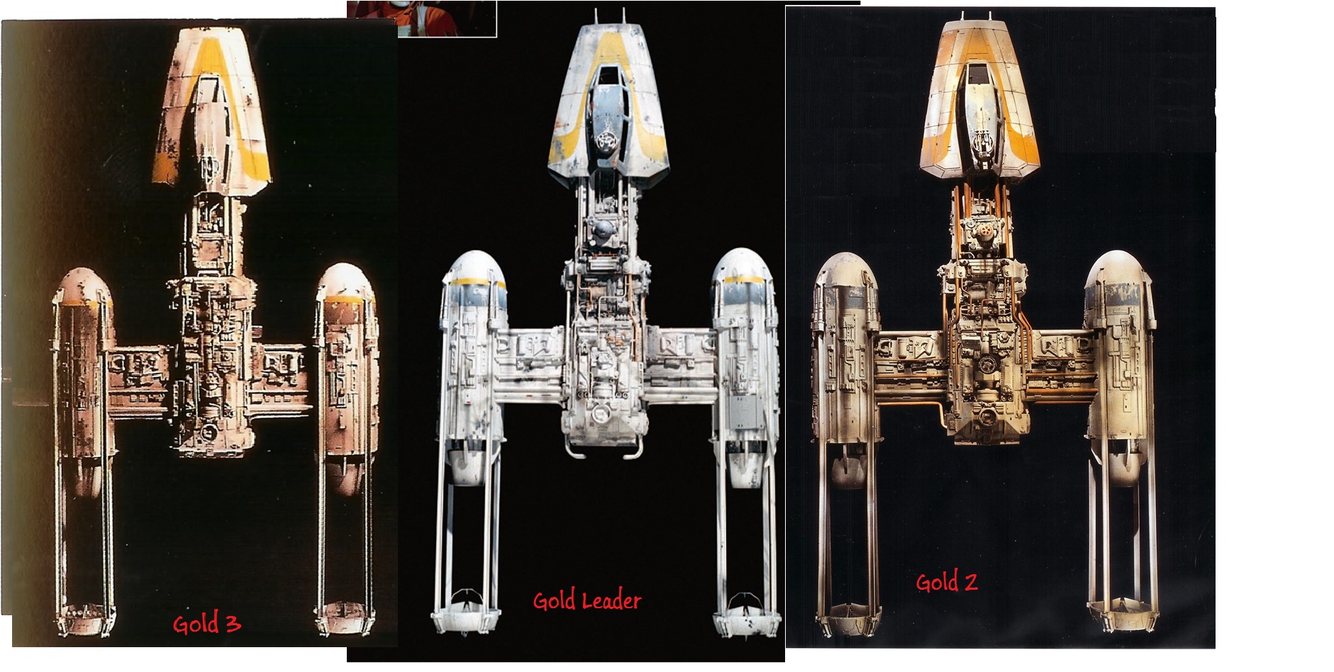Y-comparision.jpg