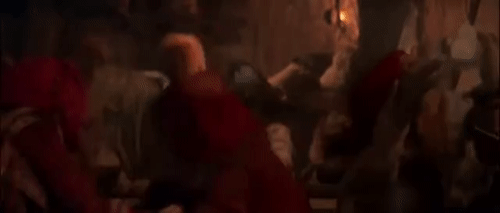 YellowishAggravatingGalapagostortoise-small.gif