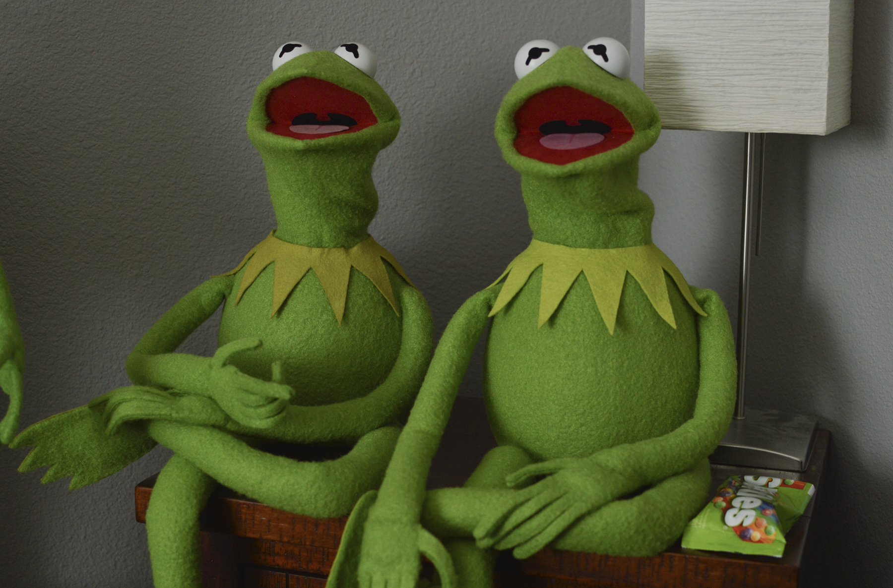homemade kermit the frog puppet