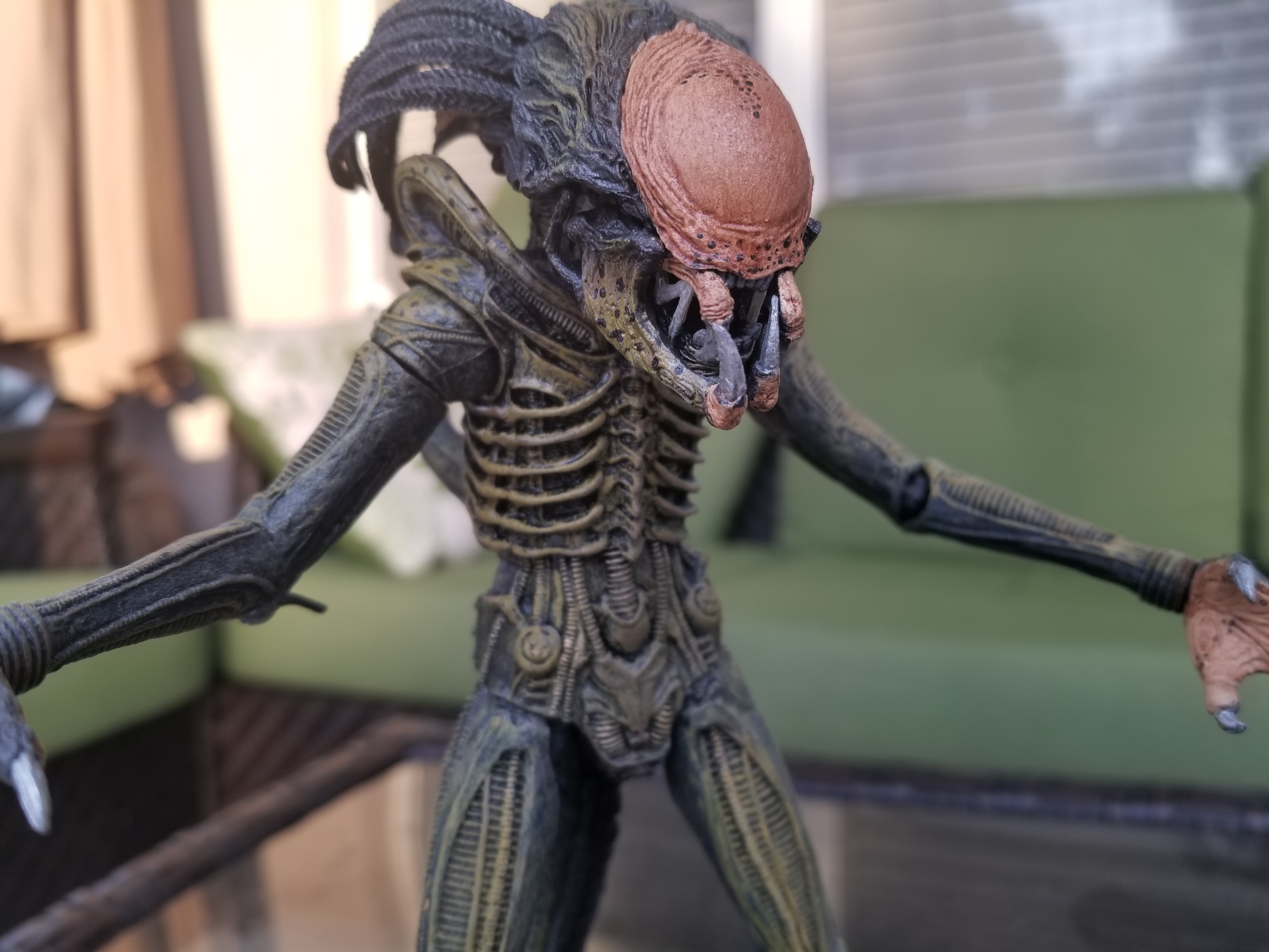 neca predalien 2019