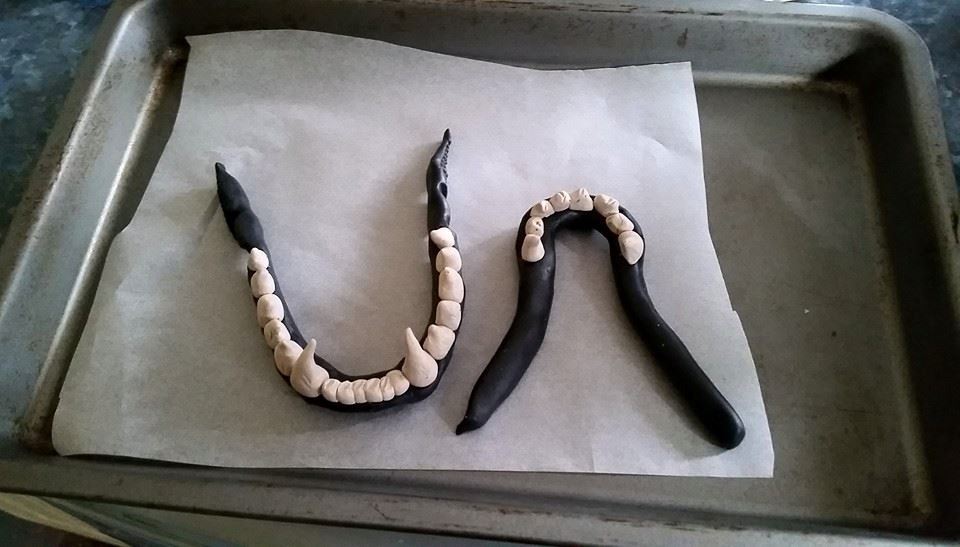 065 freshlybakedraccoonteeth