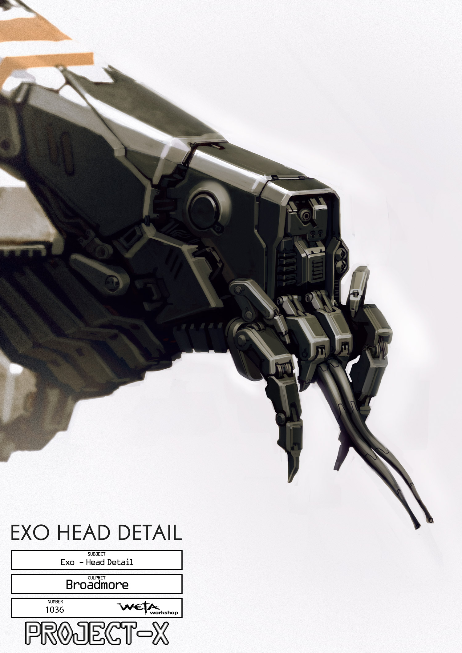 1036ExoHeadfinGB.jpg