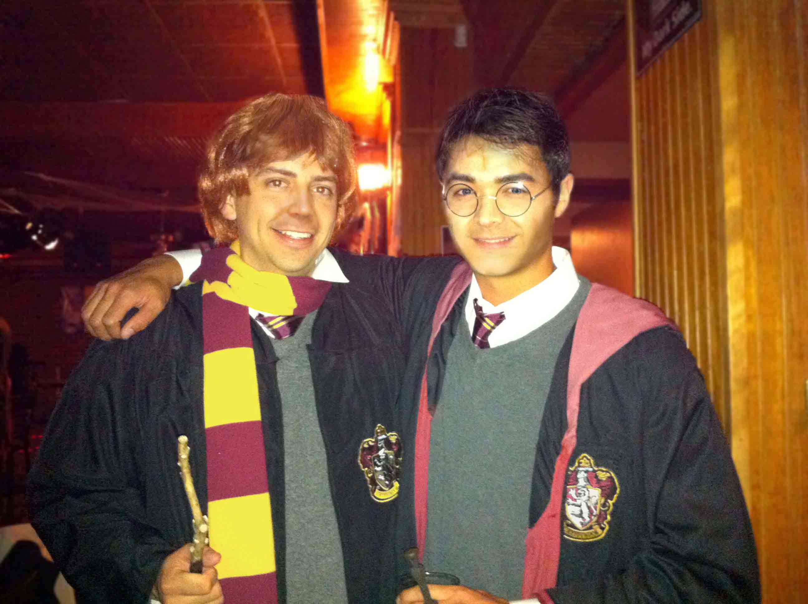 2011 Harry Potter