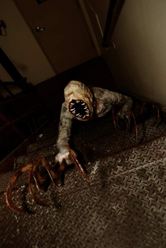 Afest 2010
Myself as the Lurker from Silent Hill:Homecoming