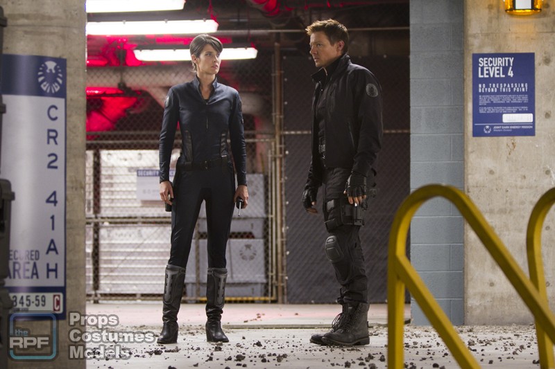 Agent Maria Hill