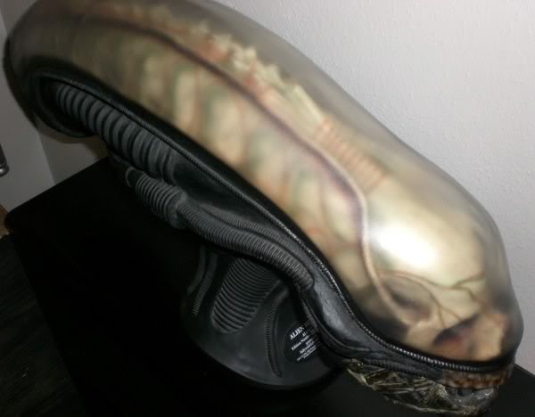 ALIEN. Sideshow 1:1 giger mold.