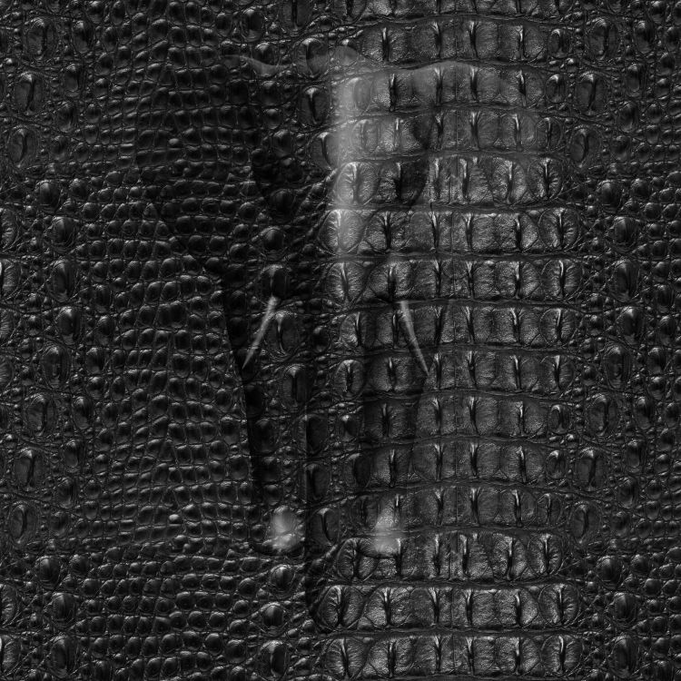 Alligator Crocodile Skin Black.jpg