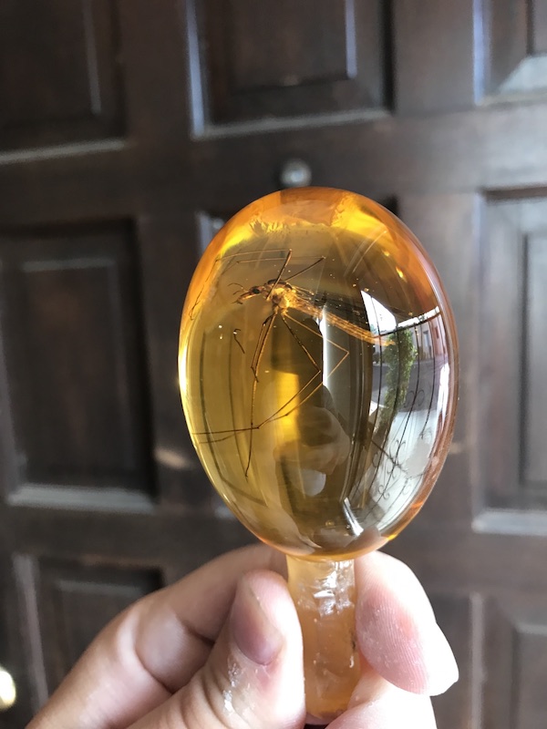 Amber Egg