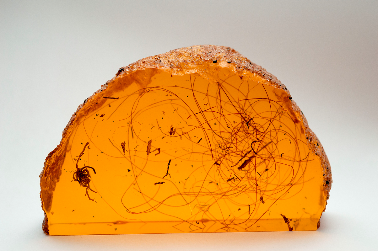 Amber slice with genuine Siberian Woolly Mammoth hair.