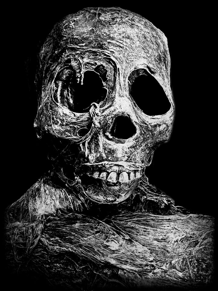 ....and we named him Joey.  Joey is a lovable dead boy.  He is made out of a medical grade skeleton and has skin made out of layers and layers of plas