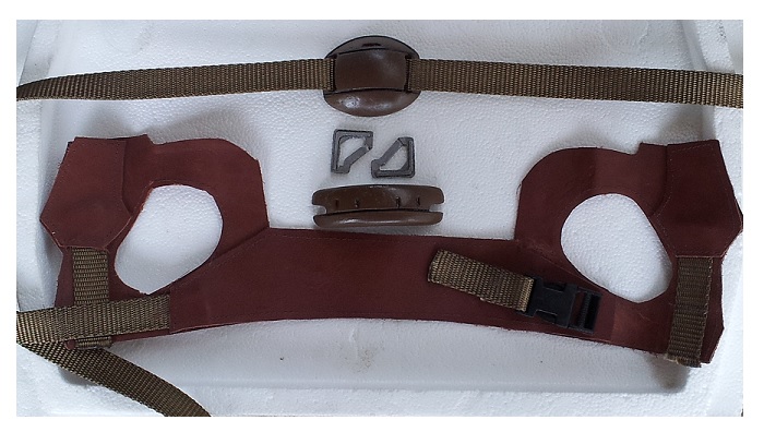 arpf1