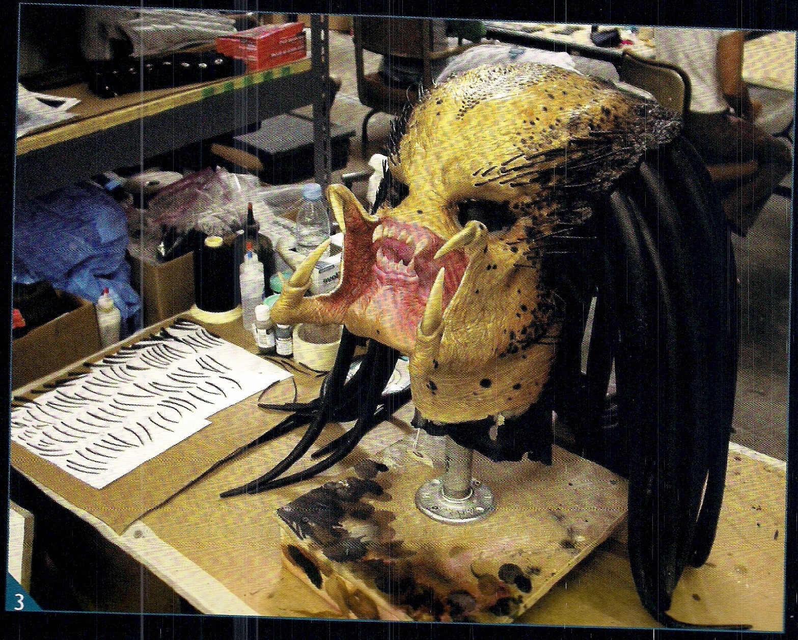 AVP 4