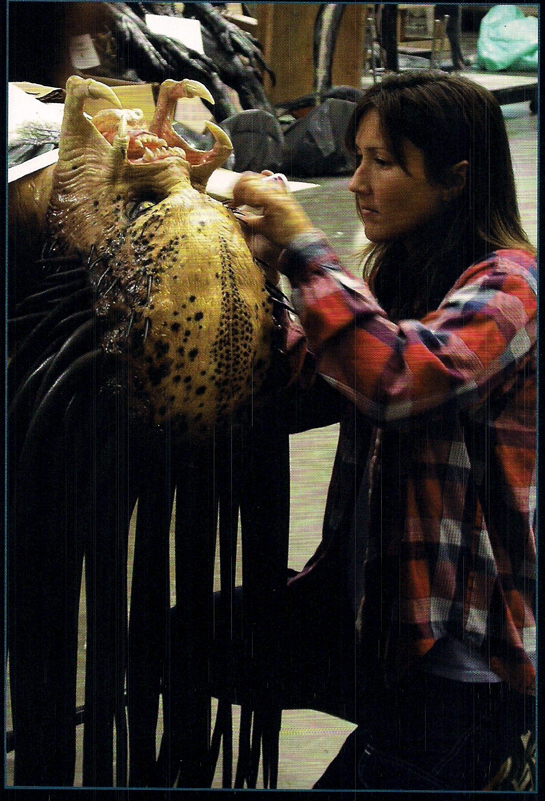 AVP head