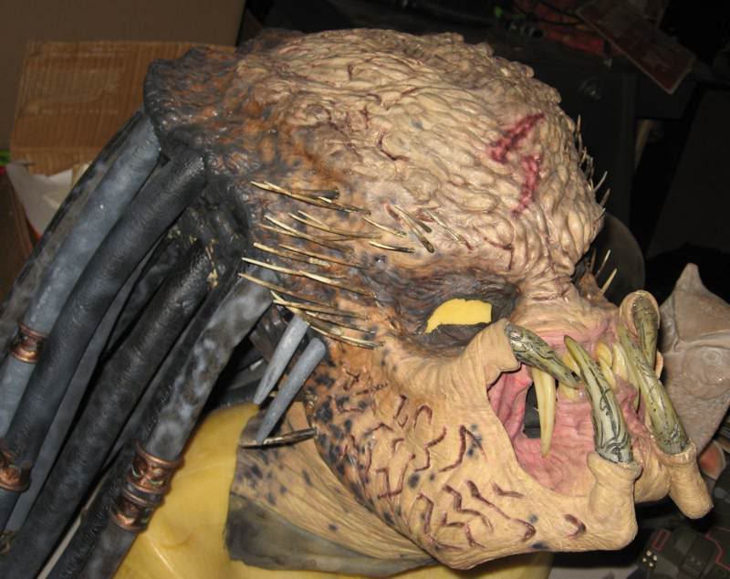 AVP: Screen Used Elder