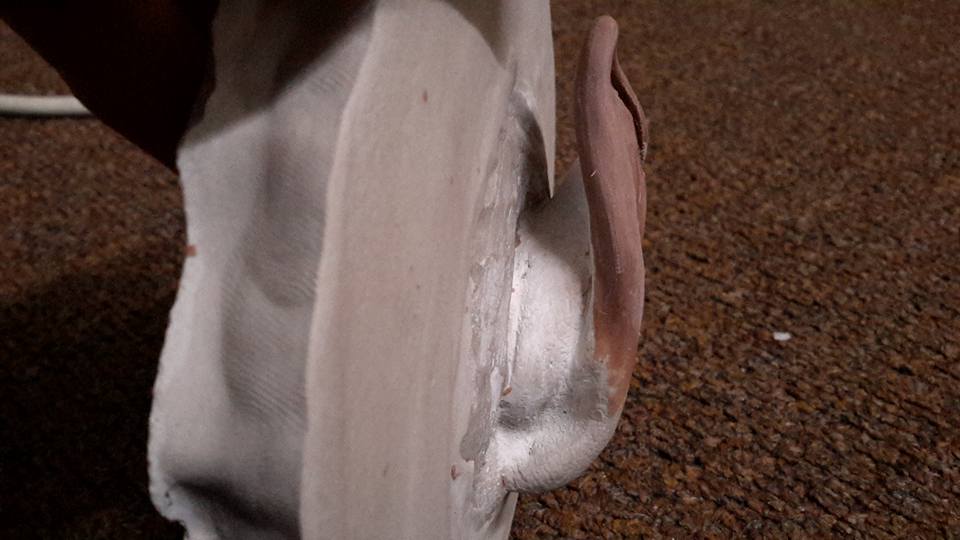 Back view of ear sculpt.