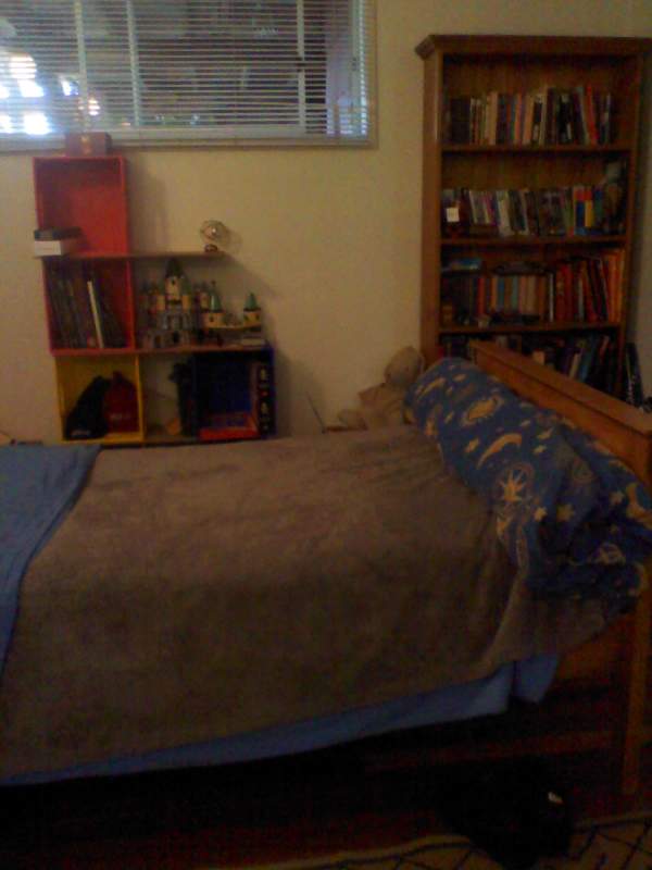 bed and bookshelves