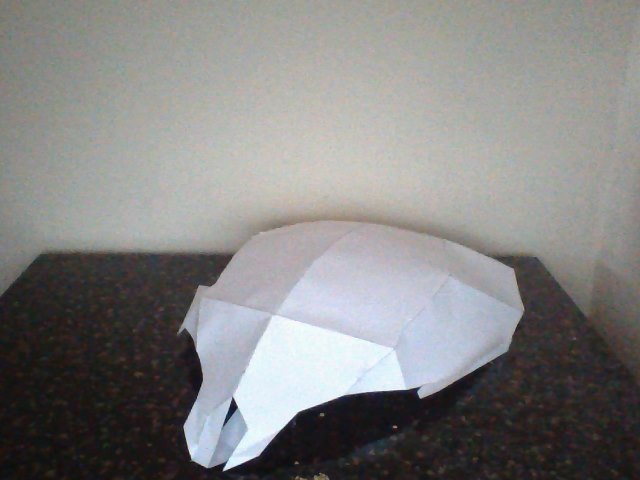 Beserker W.I.P Helmet