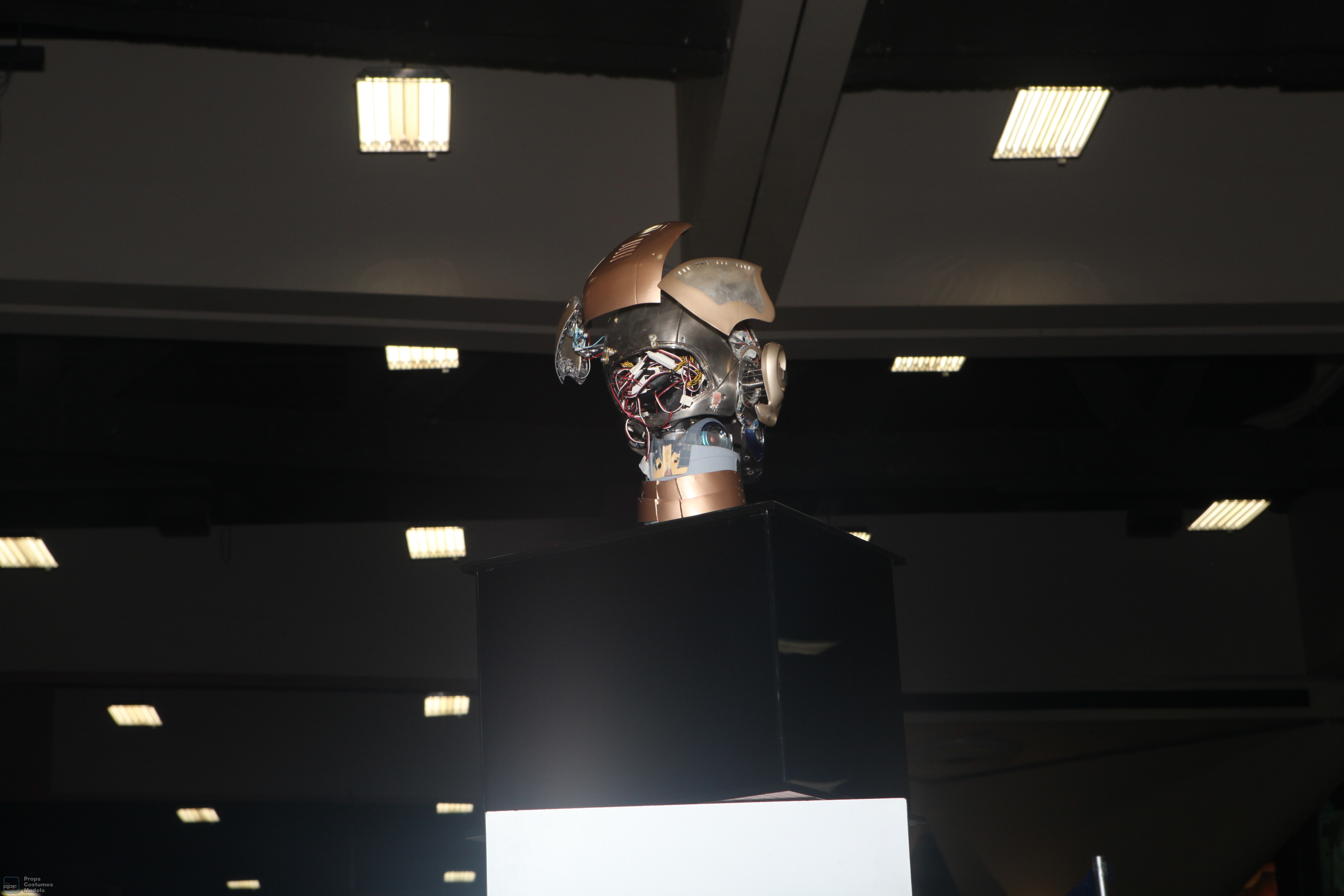 Bicentennial Man Head - Back