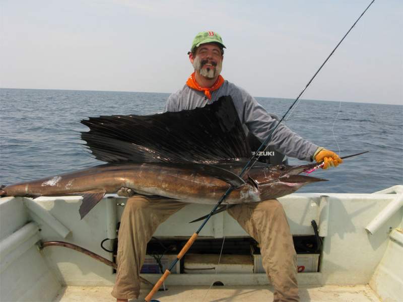 big sailfish copy