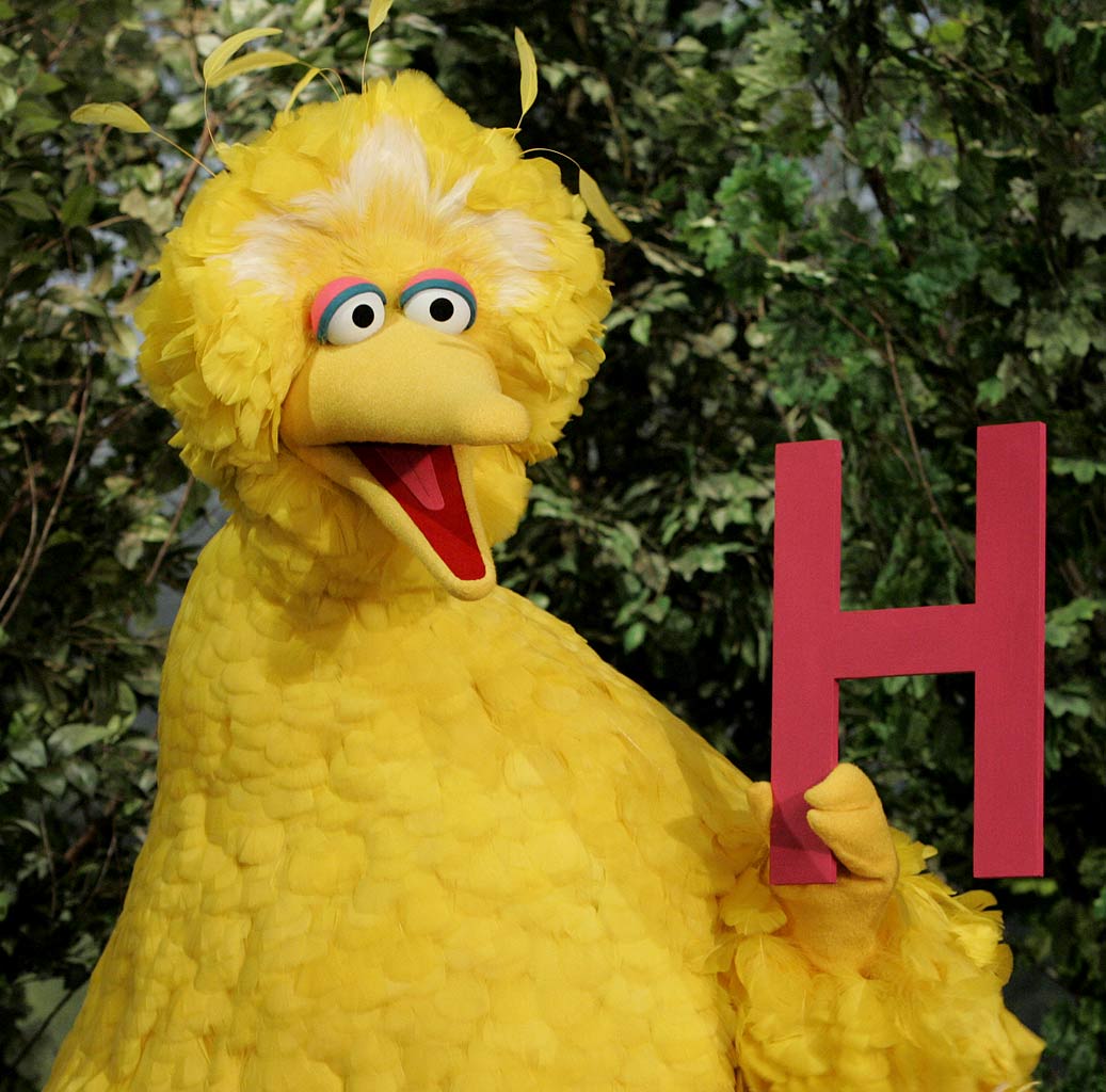 bigbird