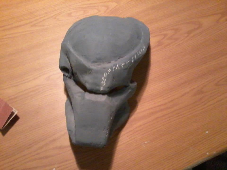 Biomask