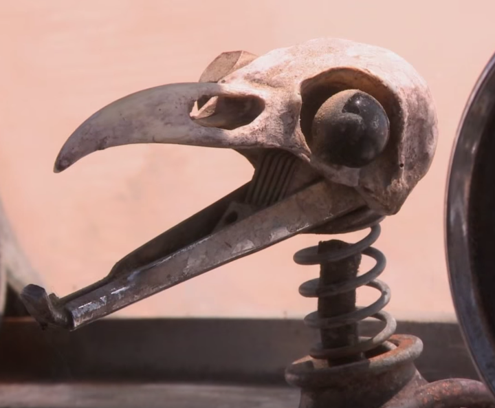 birdleft 2.png