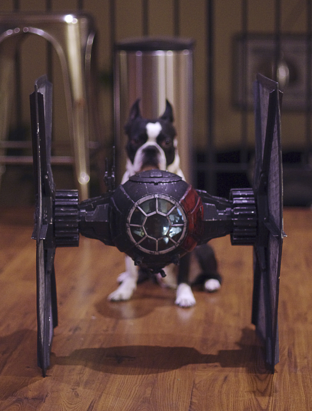 Black Series SF Tie Fighter